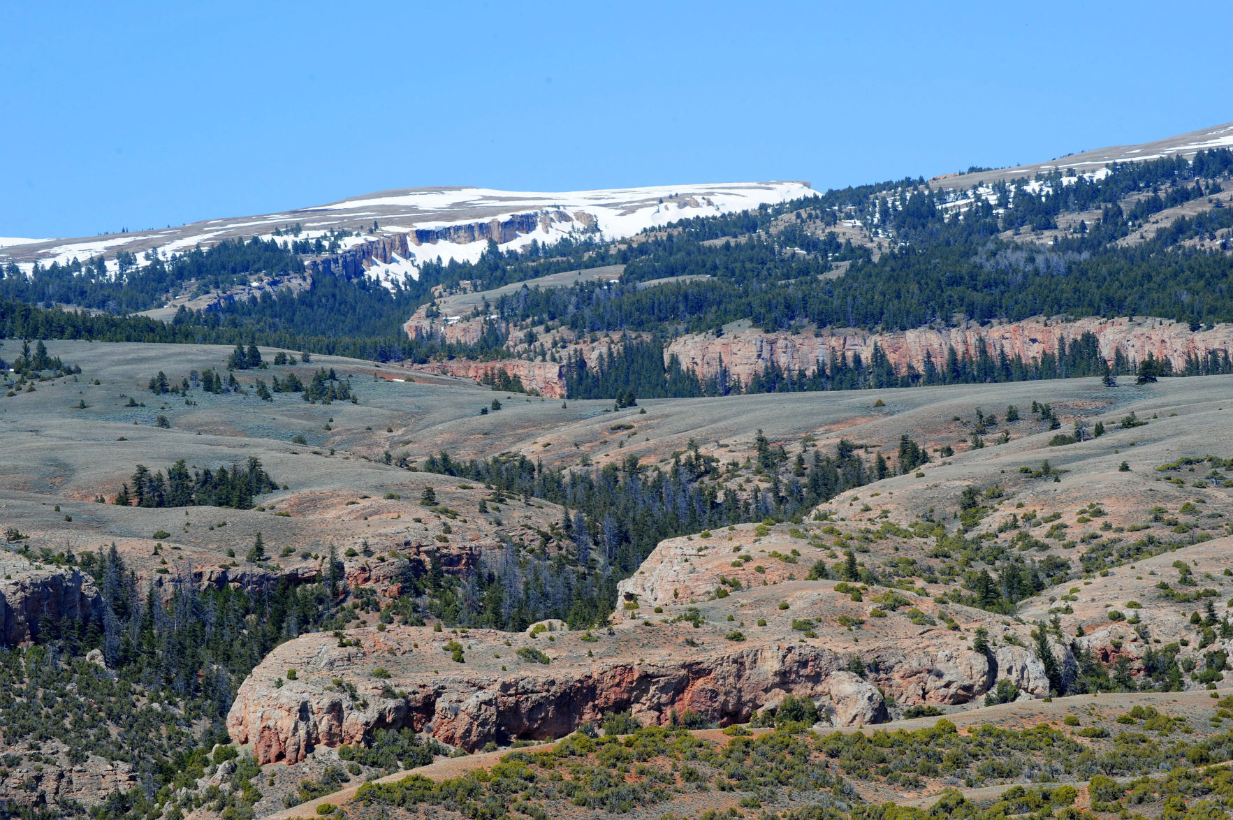 Pryor Mountains